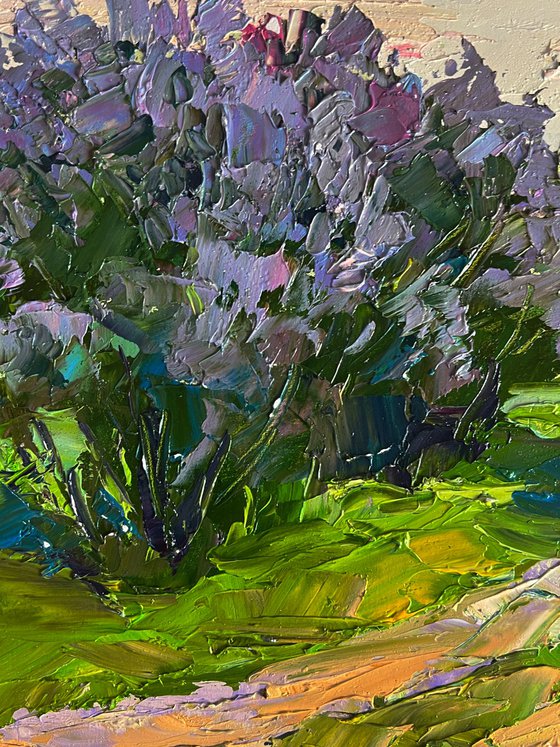 Flowers along the Road