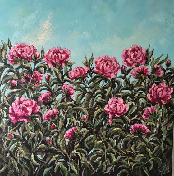 Peonies