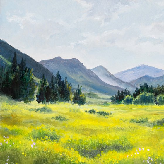 Mountain yellow flower meadow
