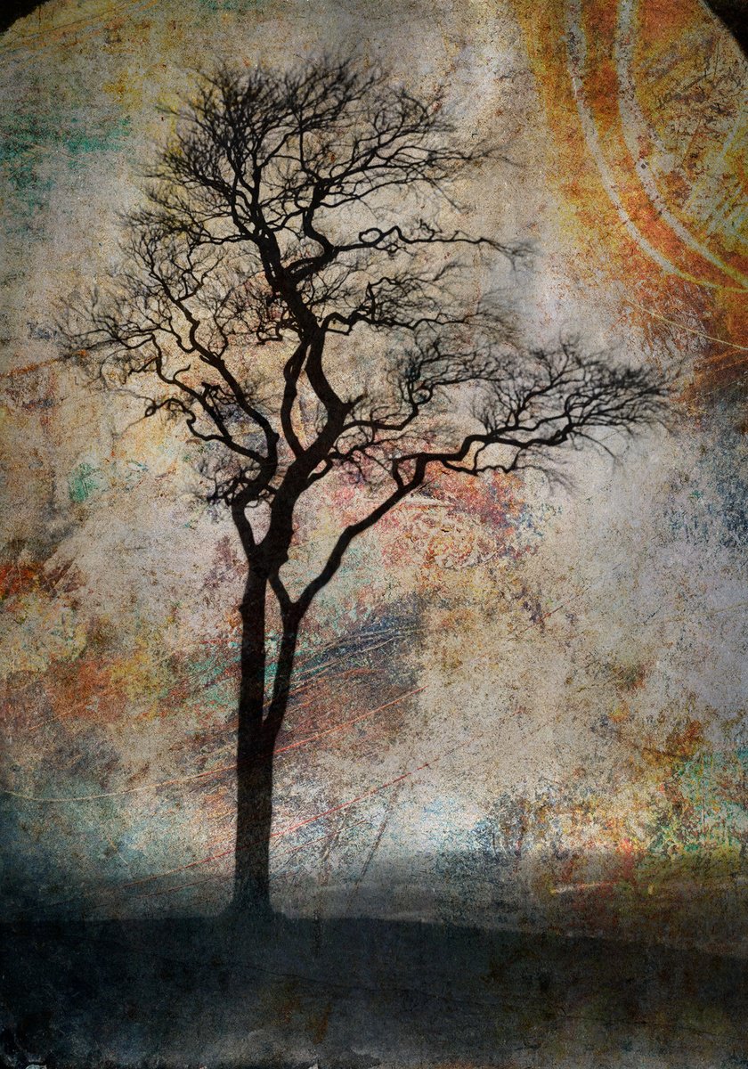 Landscape Photograph By Claire Newman-Williams, 18 X 24, Firelight, Original Artwork