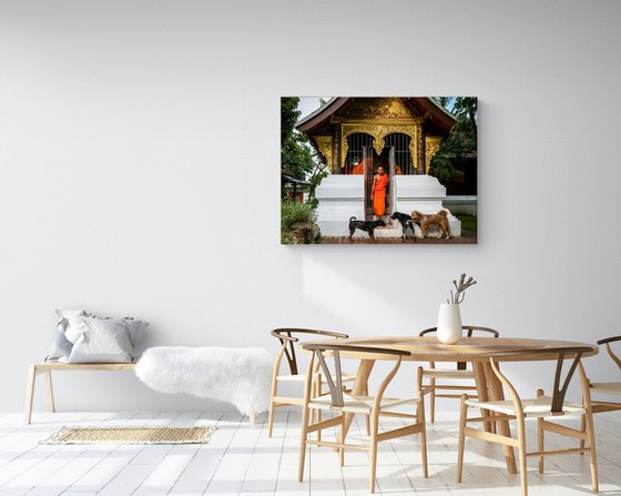 Temple Dogs of Laos No.1