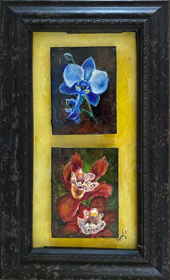 Orchid Collection Original Oil 2 paintings floating on a gessoed masonite panelboard, signed, framed