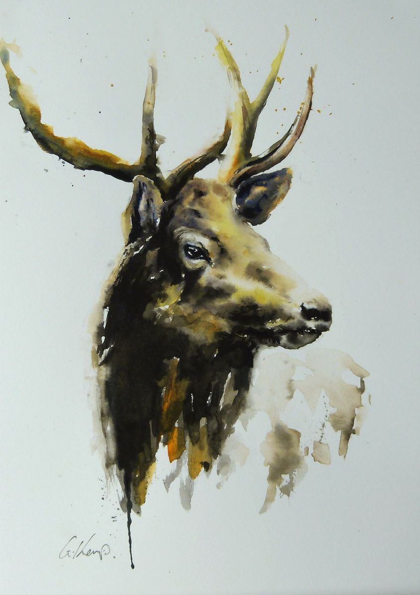 Stag. by Graham Kemp