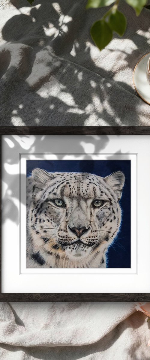 Snow Leopard - Little big cats series no. 2 by Silvia Frei