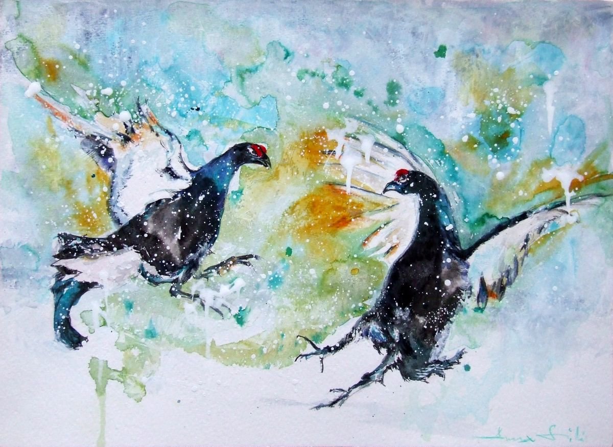 Birds fight by Anna Sidi-Yacoub