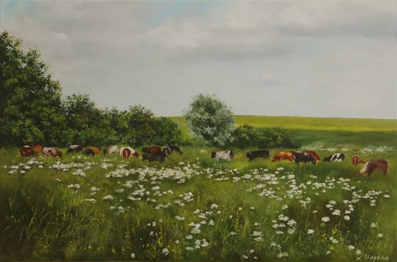 Grazing Cows in Summer