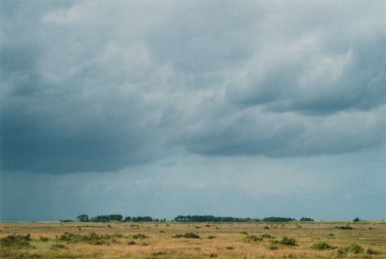 Summer Storm - Unmounted (18x12in)