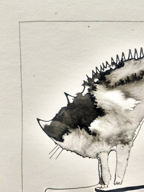 "CAT"