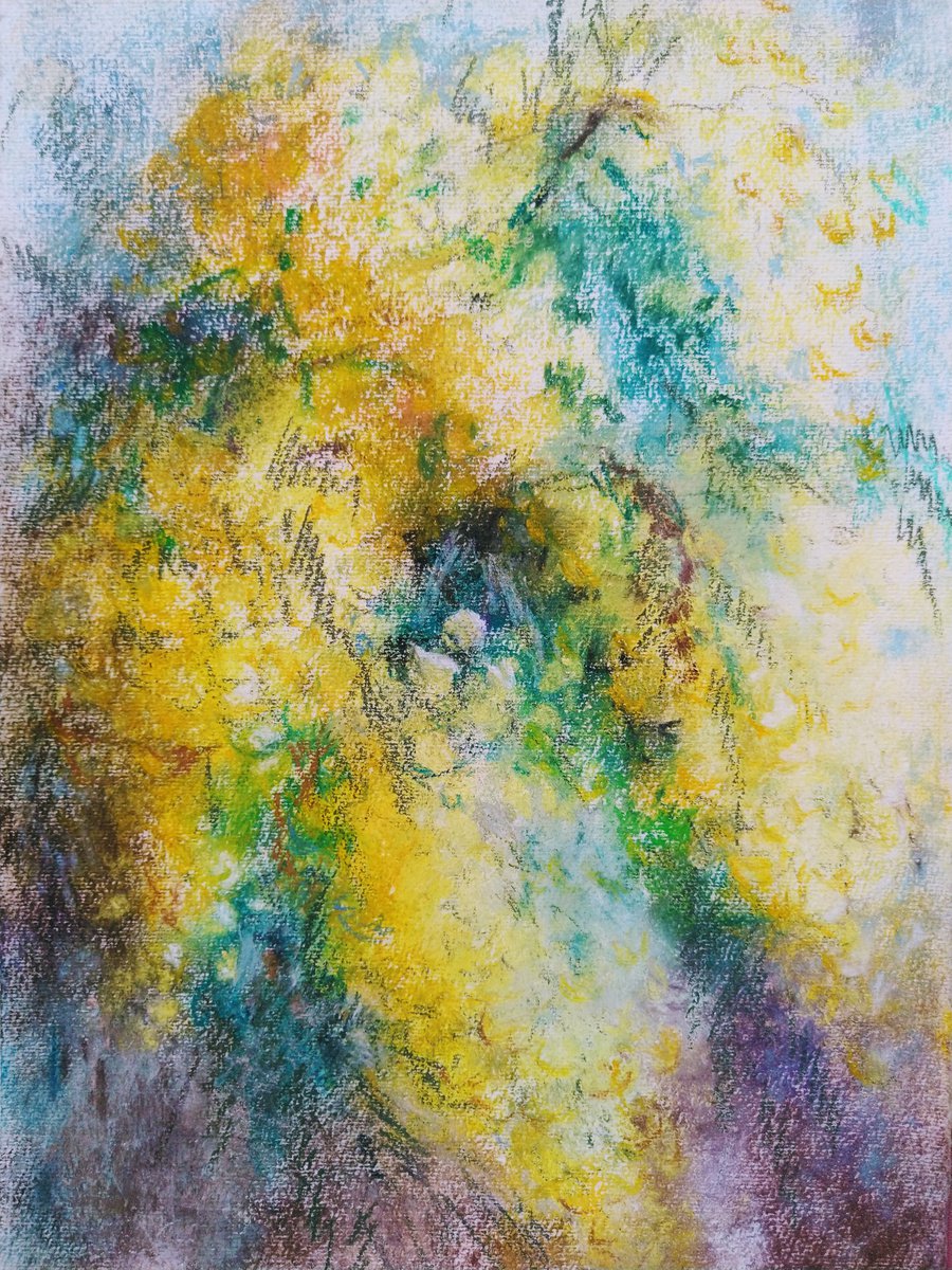 Impressionistic Botanical Pastel Drawing By Elena Klyan, 9 X 12, Mimosa Original Pastel Drawing, Original Artwork