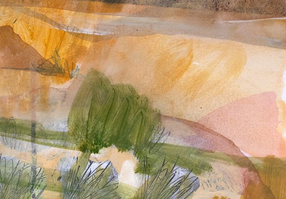 Wind in the Meadow