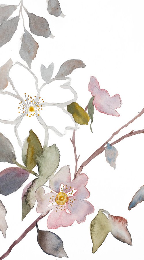 Wild Rose No. 20 by Elizabeth Becker