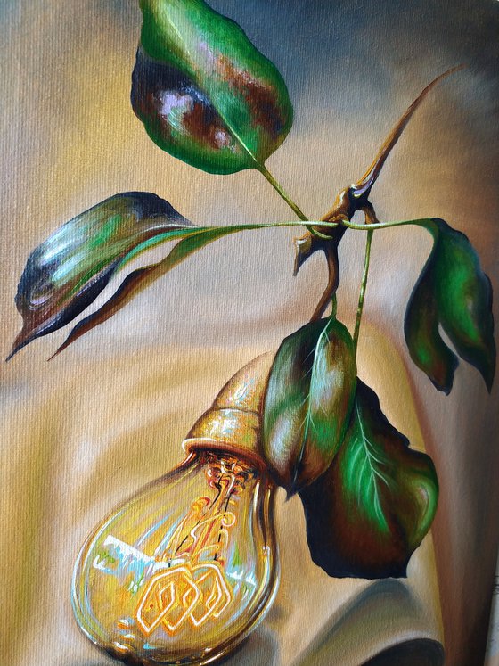 Harvest of light 💡