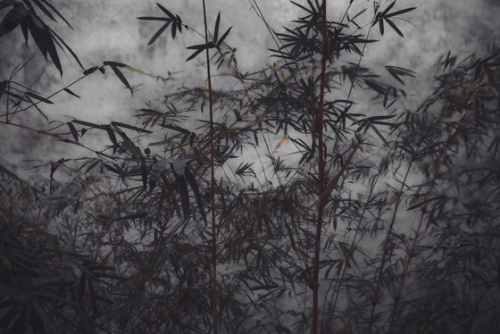 (FRAMED) The power of simplicity II