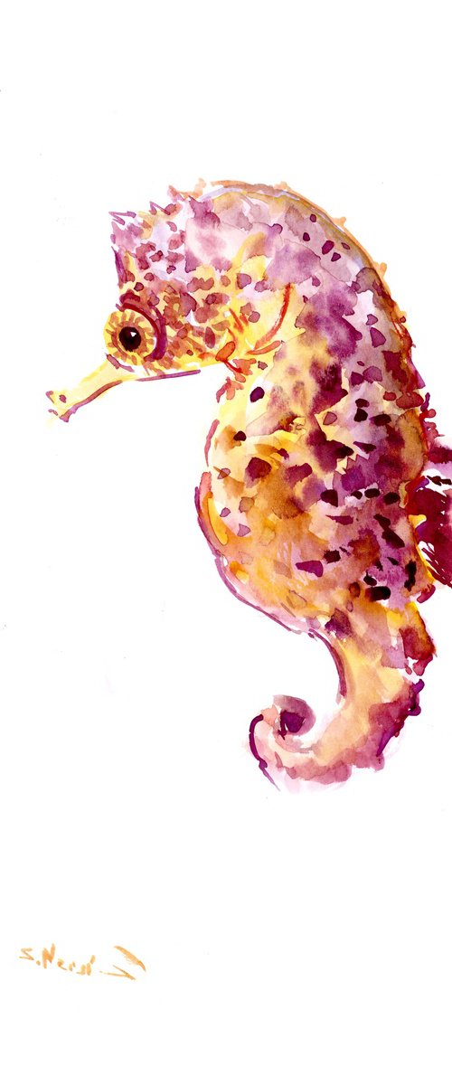 Little seahorse by Suren Nersisyan