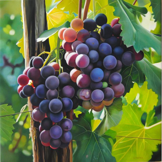 Grapes