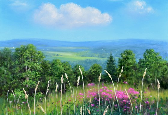 Mountain Meadow