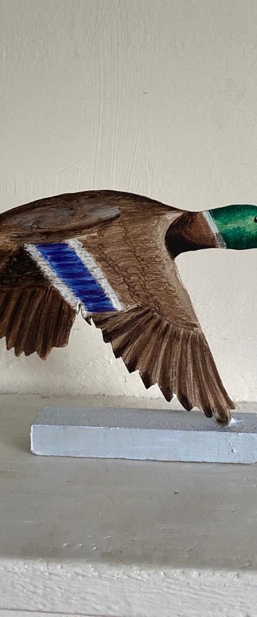 Flying Mallard by Laurence Wheeler