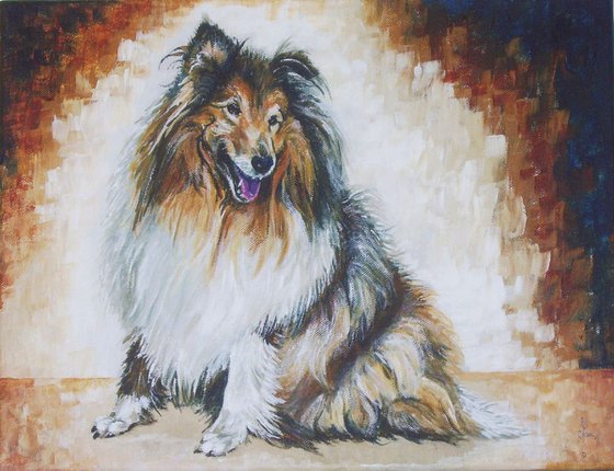 Rough Collie