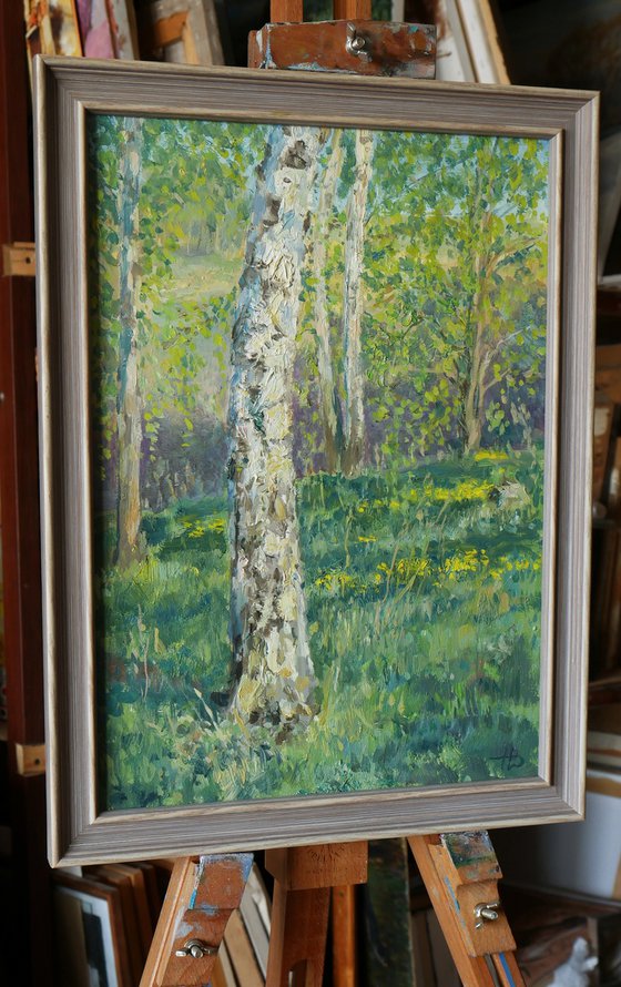 The Sunny Birch Forest