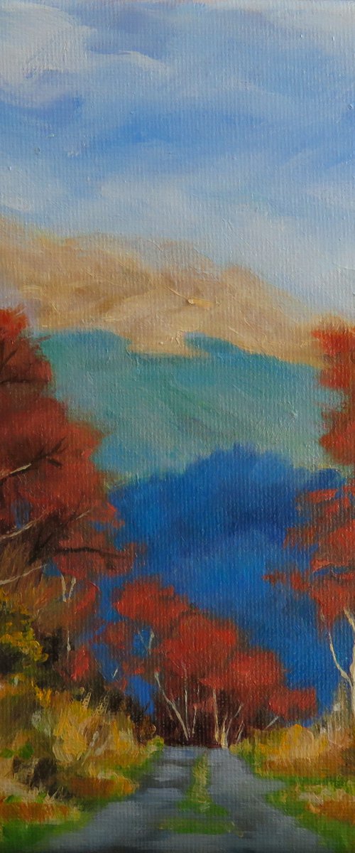A trail to sapphire by Kerry Lisa Davies