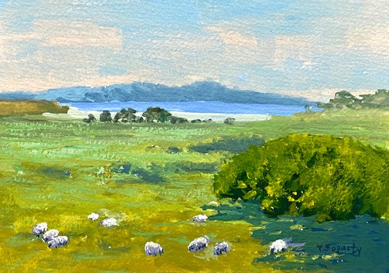 Sheep Grazing On Ranch Meadow Along Pacific Coast