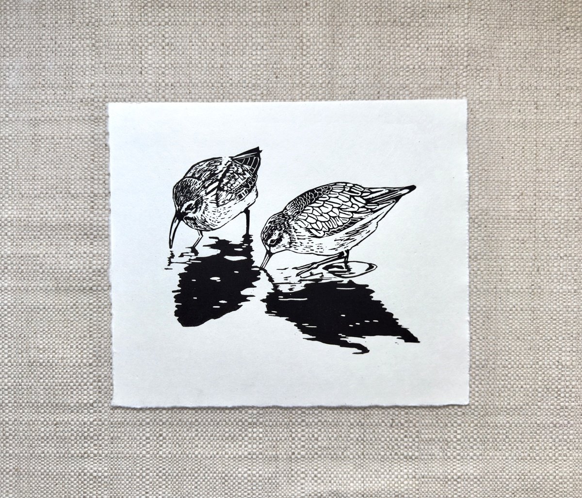 Dunlin Linocut by Jem Gooding