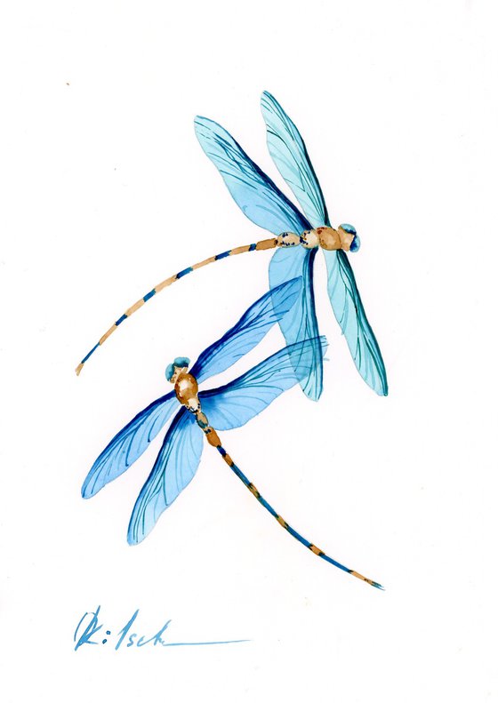 Dragonflies Dance
