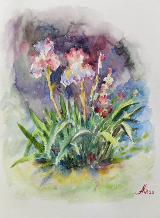 Iris flowers