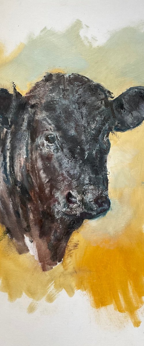 Calf by Mark Thirlwell