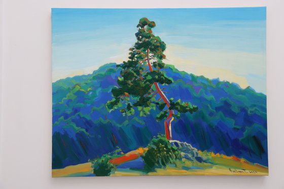 Lonely tree