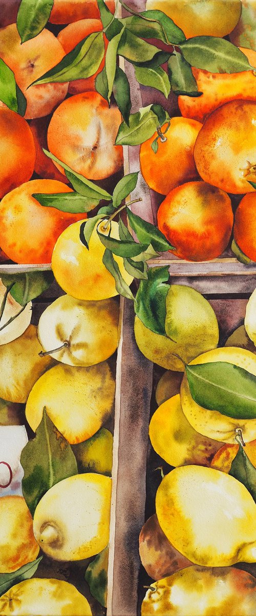 Citrus season by Delnara El