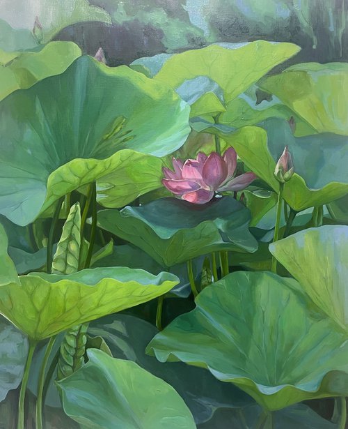 Blooming lotuses. Maturity. by Guzel Min