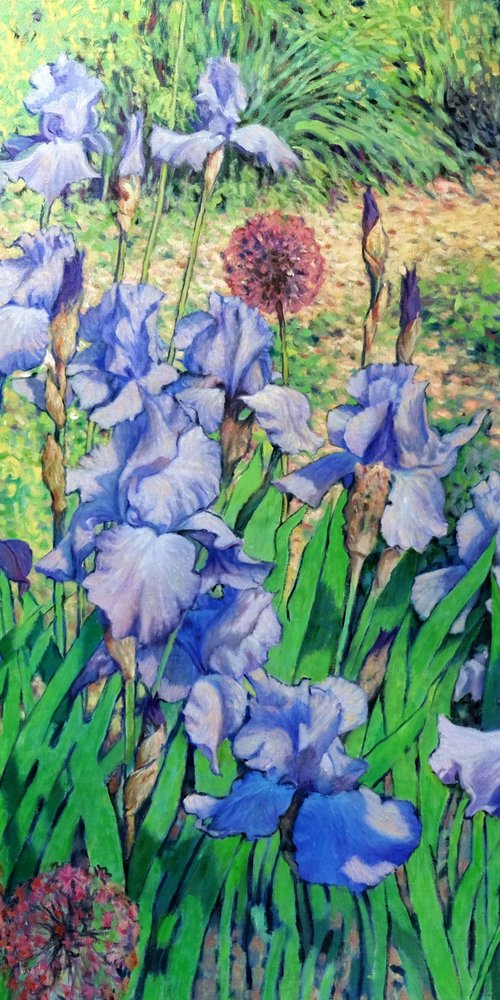 Irises dancing in the sun by Richard Mierniczak