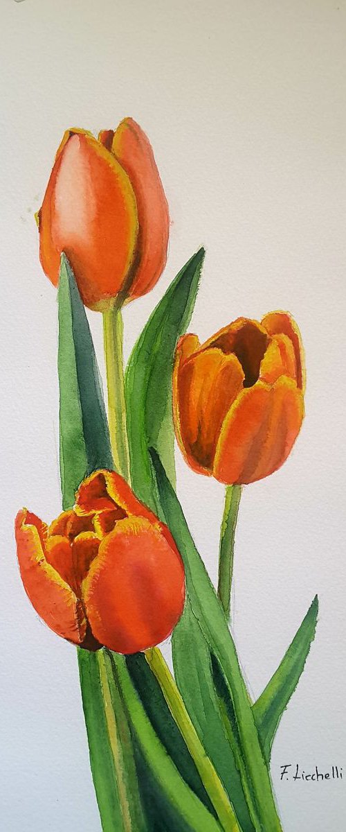 Red tulips by Francesca Licchelli