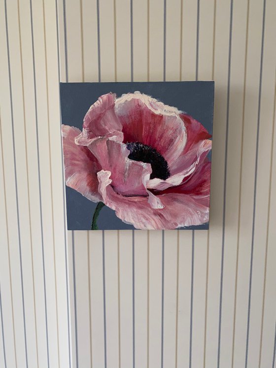 Pink poppy original flower painting on canvas