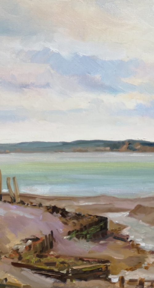 Low tide at Port Greville in Parrsboro,  Nova Scotia,  Canada, plein air (18x14x0.7'') by Alexander Koltakov