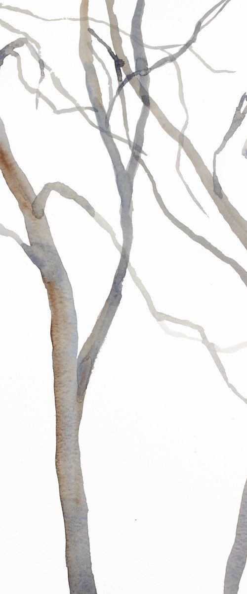 Tree Study No. 40 by Elizabeth Becker