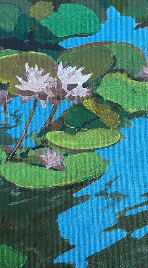 Lotus flowers by Bohdan Vykhrenko