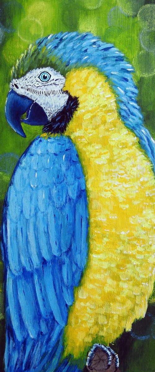 Parrot by Olga Tretyak