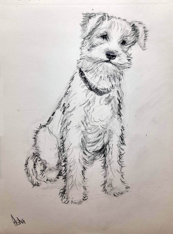 Set of three cute dogs