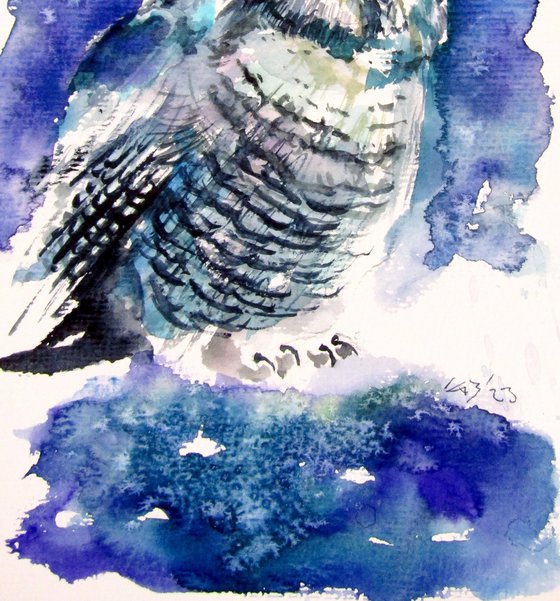 Owl collection