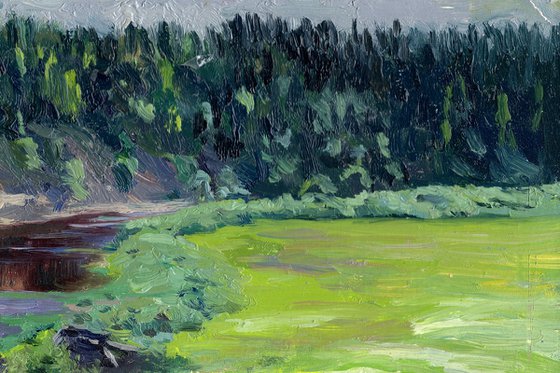 Pinega. Bathhouse by the river