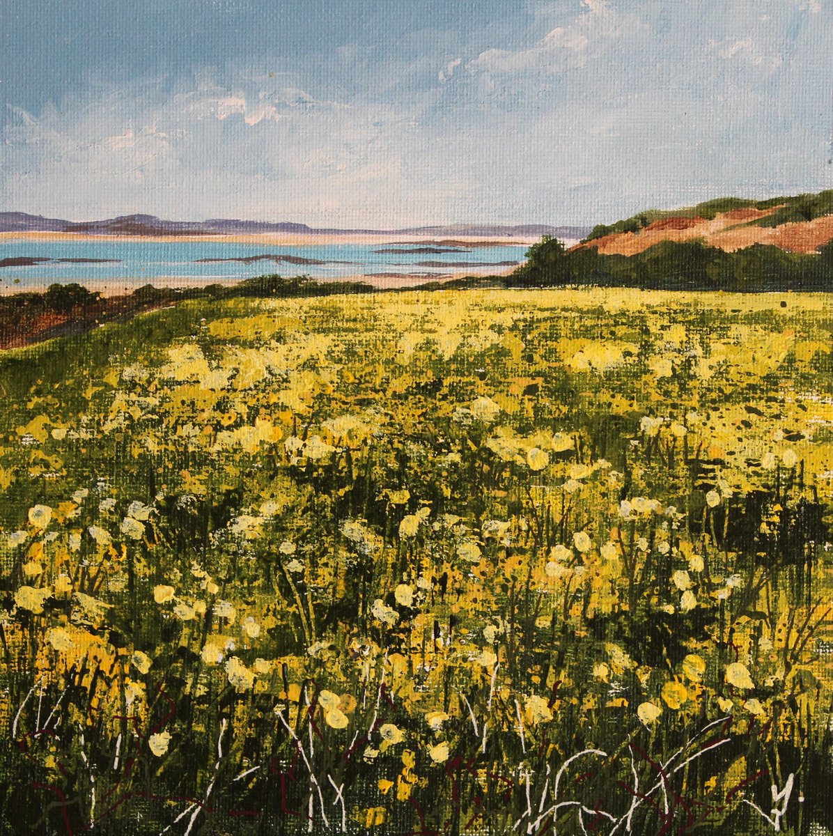 Daffodils on the Isles of Scilly by Valerie Jobes