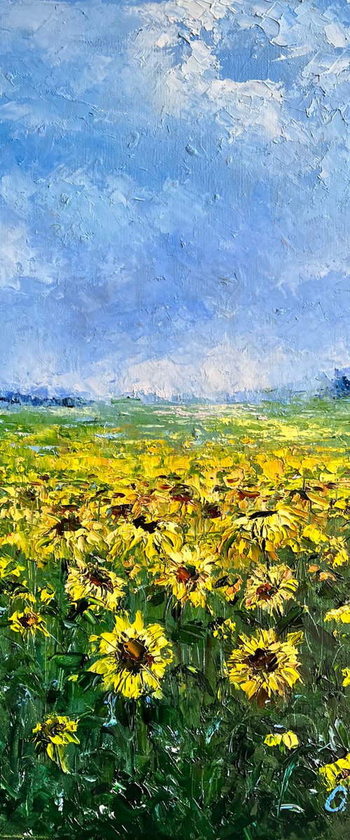 UKRAINE by Oleg Panchuk