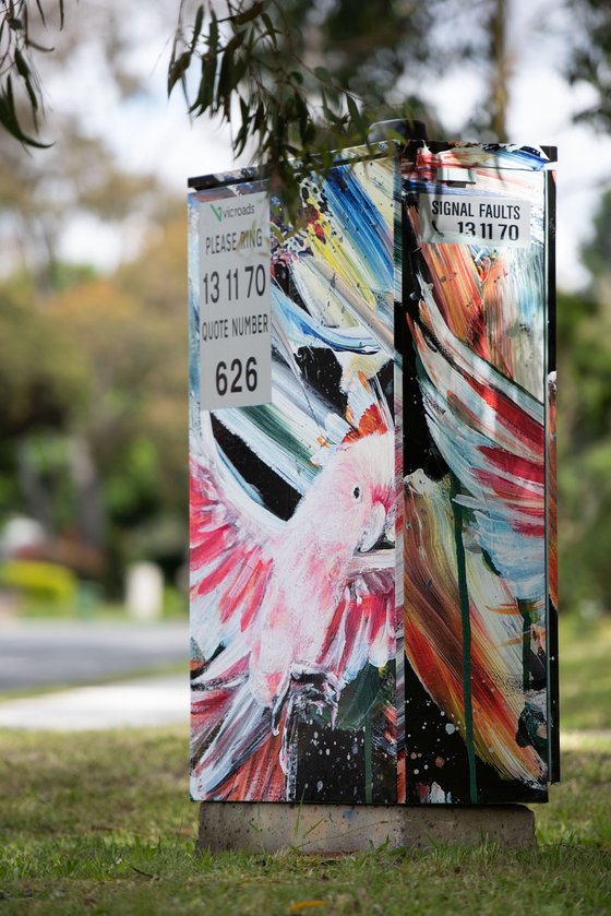 Capturing Freedom - Pink Cockatoo