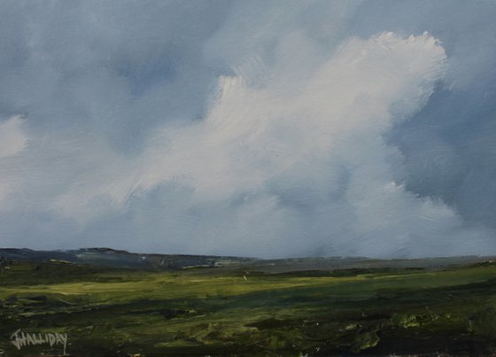 Light on the fields, Irish Landscape