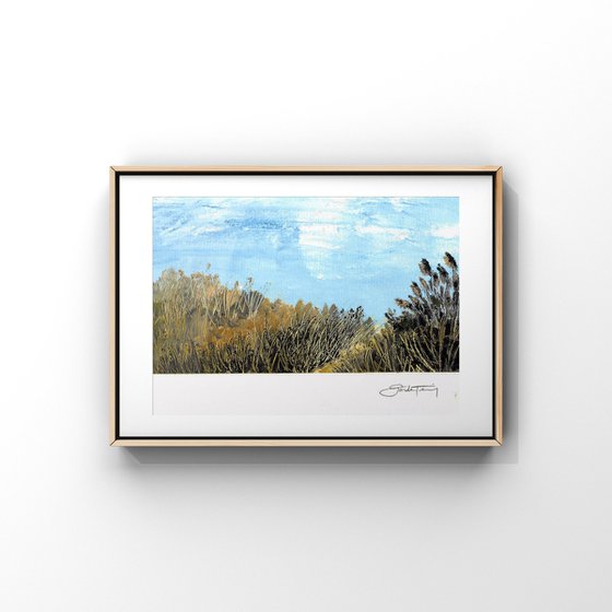 Landscape / Quiet Field III