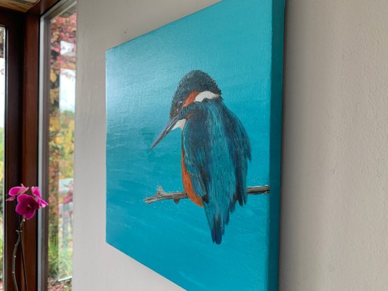 Kingfisher Blue