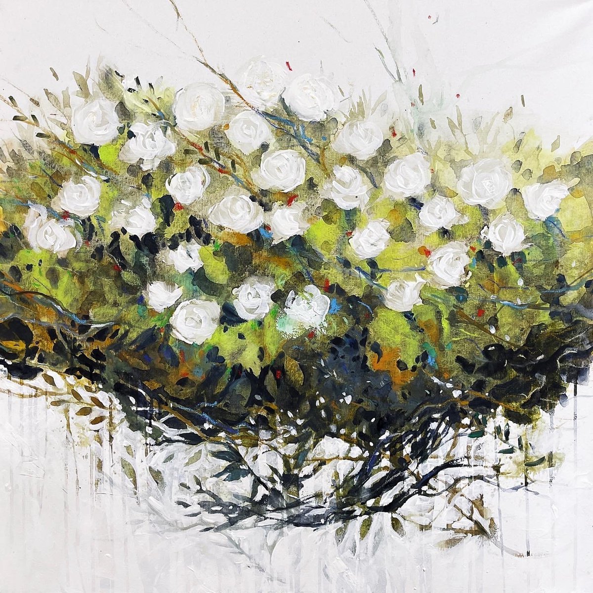 A bush of white flowers by Alessandro Andreuccetti
