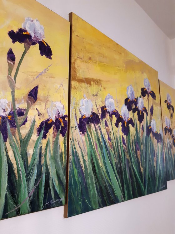 Irises at Sunrise A2,A1,A3   80x140cm